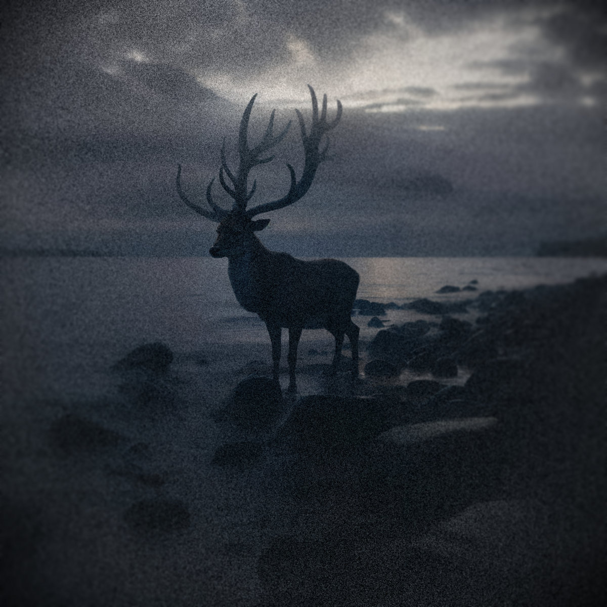 Atlantic - Black Sands